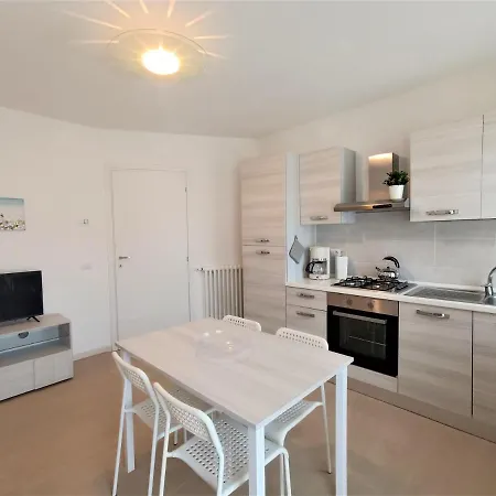 Winter Spring Summer