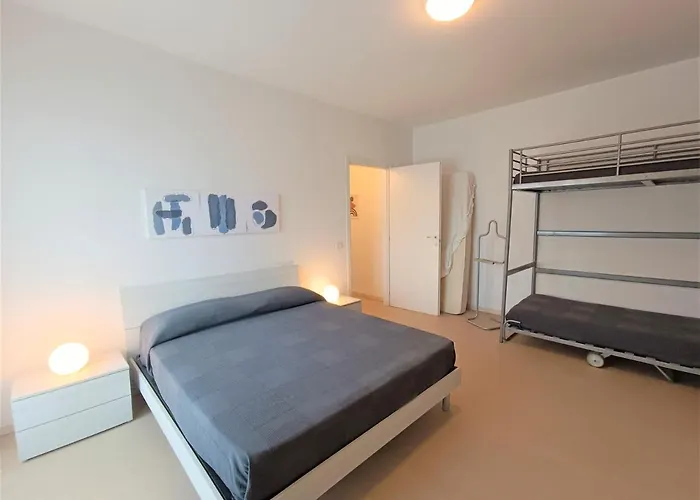 Winter Spring Summer *