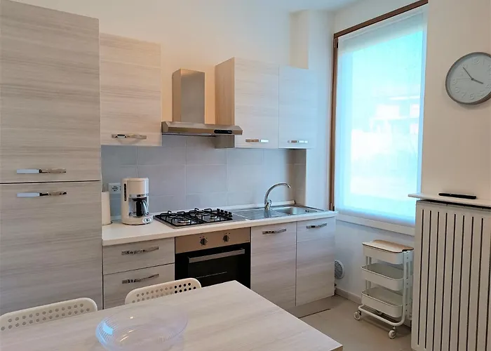 Winter Spring Summer *